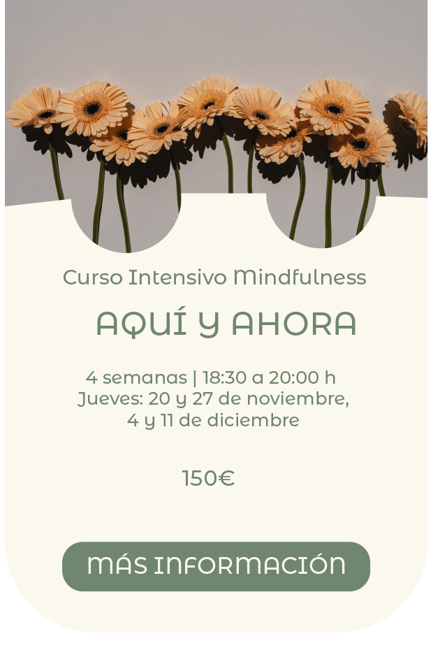 Curso Intensivo Mindfulness Santander Cantabria Presencial 